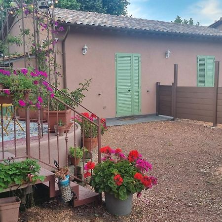 Appartamento Margherita Crespina Esterno foto