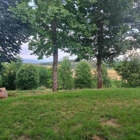 Appartamento Margherita Crespina Esterno foto